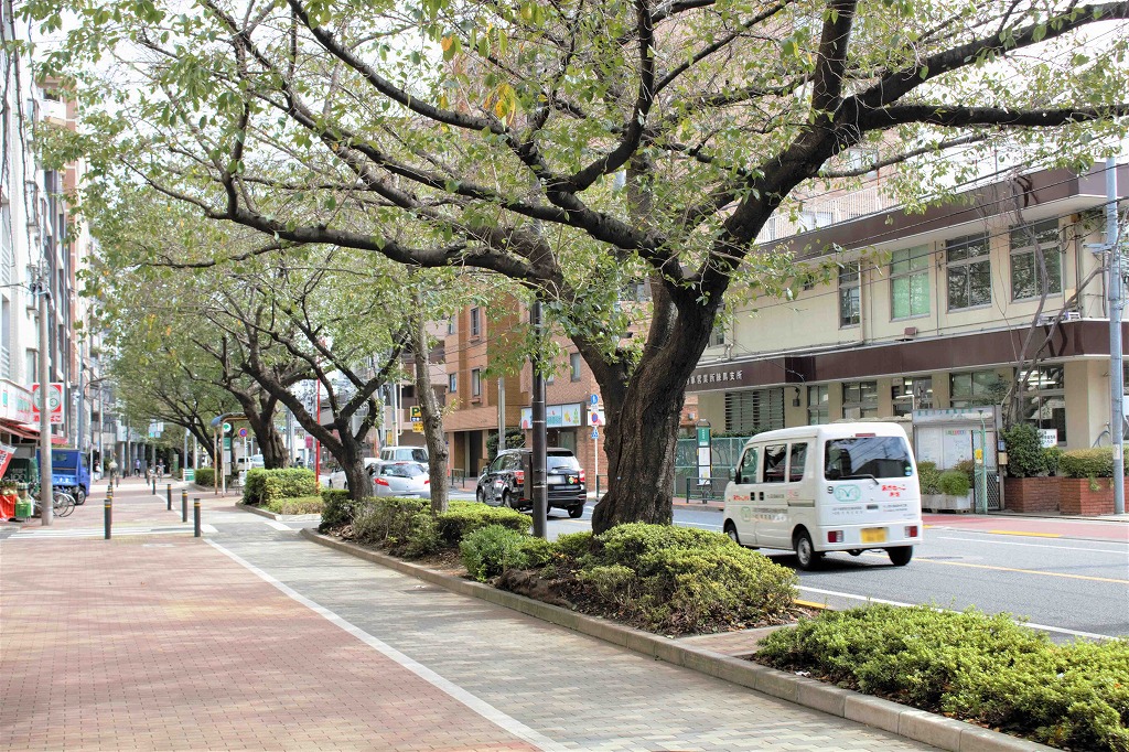 千川通りの桜は絶景！西武池袋線「桜台」駅の魅力とは！？Vol.1