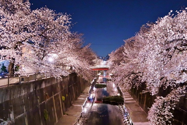 都心が持つ良さが凝縮された「中板橋」は、住まい探しの「超・穴場」である！